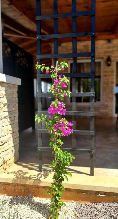 Villa Ancora Savudrija Dış mekan fotoğraf